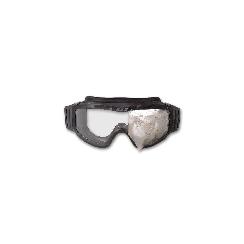 ESS Safety Goggles in Personal Protective Equipment