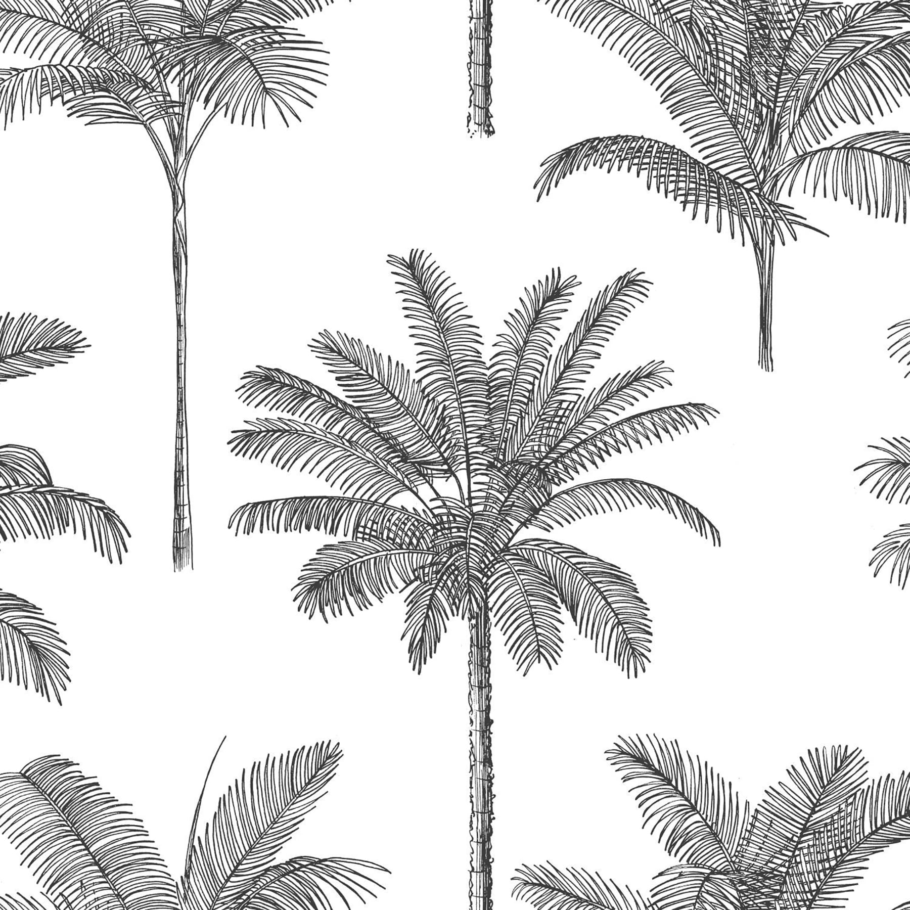 Taj Charcoal Palm Trees Non-Woven Wallpaper, 20.9-Inch by 33-Foot