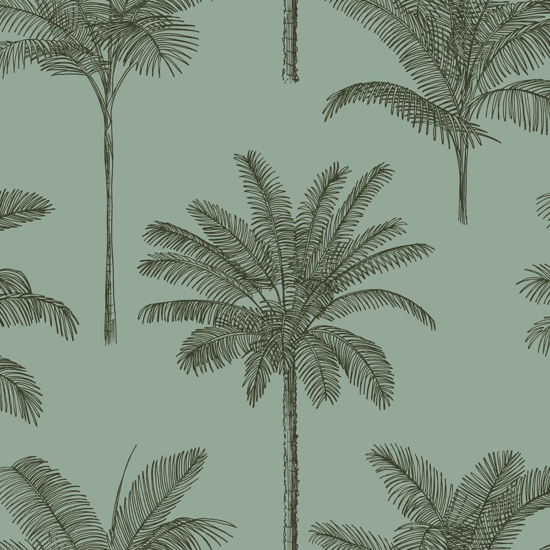 Sage Green Non-Woven Palm Tree Wallpaper, 20.9-Inch by 33-Foot