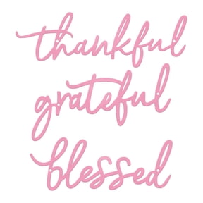 ESTART 3 Pcs Pink Metal Wall Letters, Thankful Grateful Blessed Bathroom Signs Wall Decor, Hanging Home Decor for Bedroom Interior