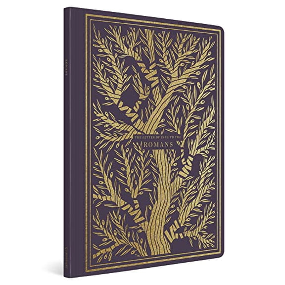 Pre-Owned ESV Illuminated Scripture Journal: Romans (Paperback) 1433564815 9781433564819