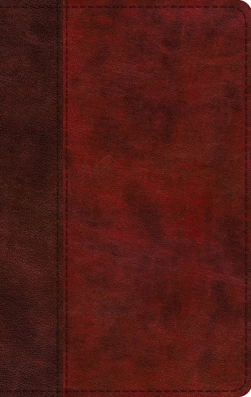 ESV Large Print Thinline Bible (Trutone, Burgundy/Red, Timeless Design) (Other)(Large Print)