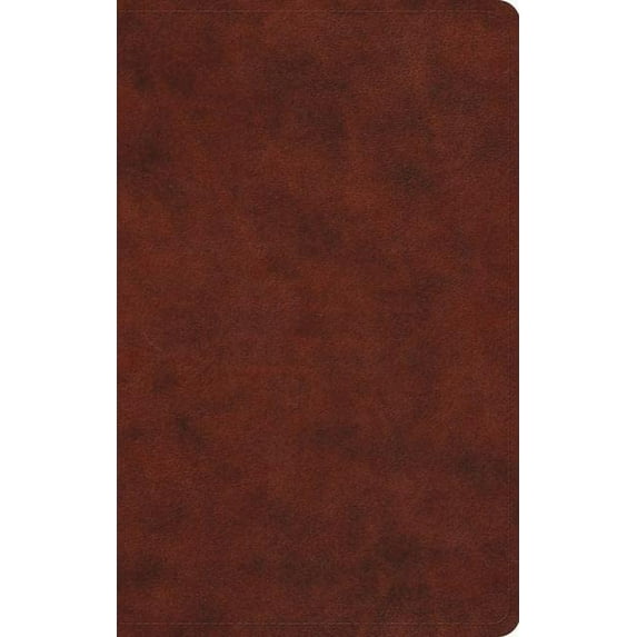 Pre-Owned Large Print Value Thinline Bible-ESV (Imitation Leather) 1433550261 9781433550263