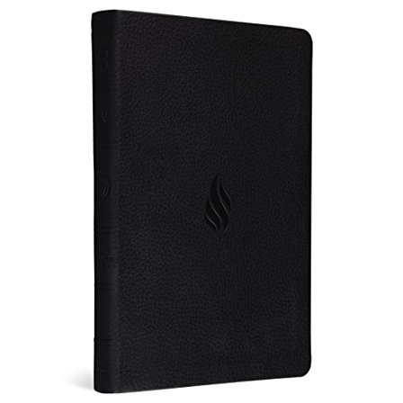 Pre-Owned Premium Gift Bible-ESV-Flame Design (Imitation Leather) 1433550628 9781433550621
