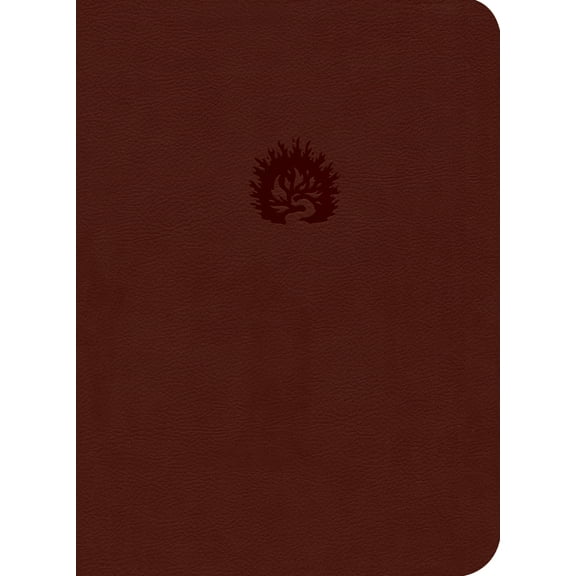 ESV Reformation Study Bible, Brick Red, Leather-Like (Hardcover)