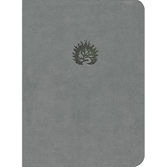 ESV Reformation Study Bible, Light Gray, Leather-Like (Hardcover)