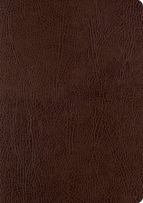 ESV Single Column Journaling Bible, Large Print (Mocha), (Hardcover)
