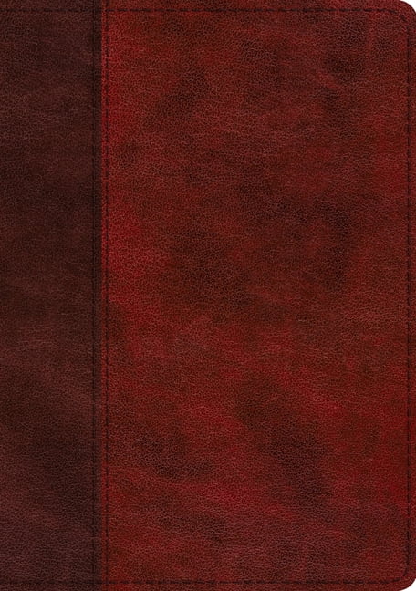 ESV Single Column Journaling Bible, Large Print (Trutone, Burgundy/Red, Timeless Design), (Hardcover)