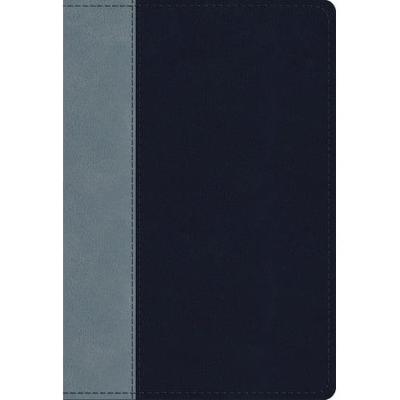 ESV Student Study Bible (Trutone, Navy/Slate, Timeless Design), (Hardcover)
