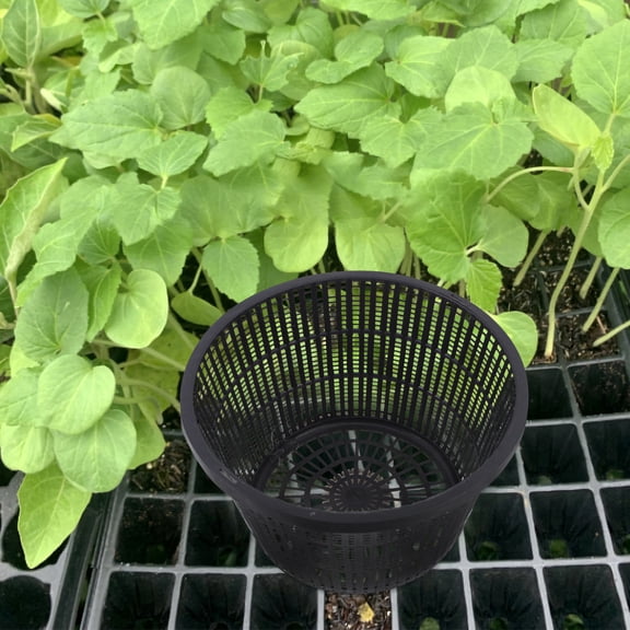 ETEREAUTY 4Pcs Large Black Mesh Plant Holders for Hydroponic and Soil Based Gardening