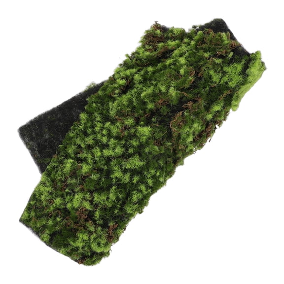 ETEREAUTY Artificial Moss Mat Green Faux Grass Carpet for Indoor Outdoor Decorative Craft Use
