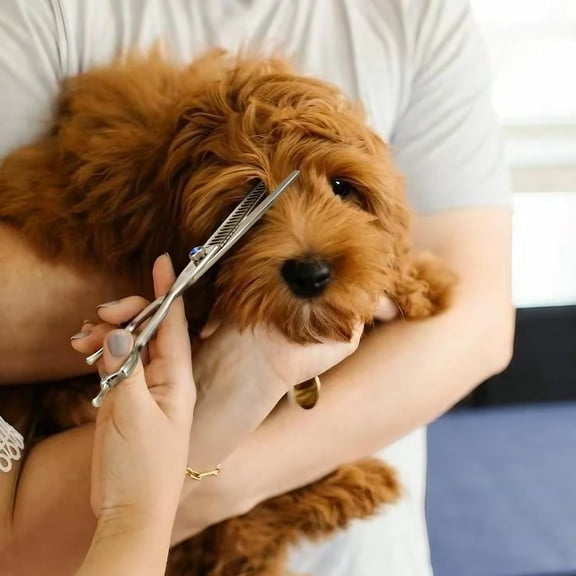 ETHYXE 7" 21-Teeth Chunkers Dog Grooming Scissors & ETHYXE Dog Thinning Shears for Grooming