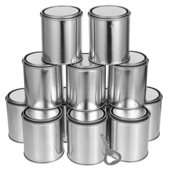 ETHZZLE 1 Set Empty Gallon Paint Cans Stainless Steel Round Paint Storage For Painters