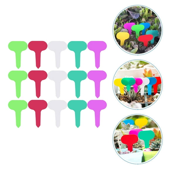ETHZZLE 100Pcs Assorted Color Flower Labels Plastic Plant Markers for Gardening and Yard Use