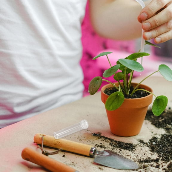 ETHZZLE 100Pcs Plastic Floral Water Tubes Sturdy Flower Stem Holders for Home and Garden Use