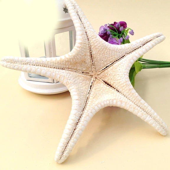 ETHZZLE 10Pcs Assorted Color Sea Star Ornaments for Home Decoration Party and Ocean Themed Craft Use