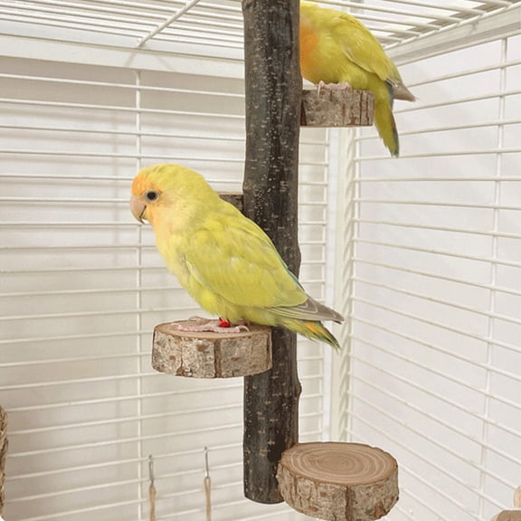 ETHZZLE Natural Wood Parrot Perch for Indoor Decoration and Bird Cage Accessories