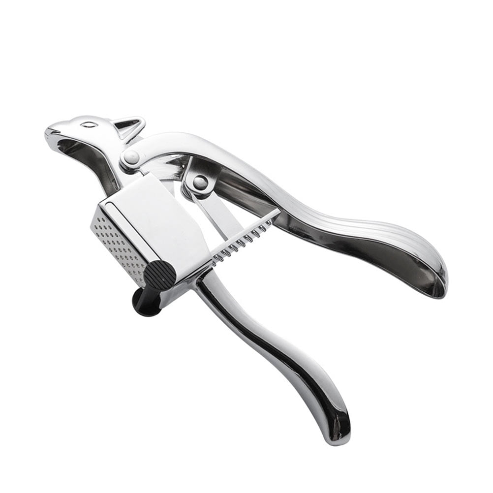 ETHZZLE Garlic Press Manual Crusher 1Pc Kitchen Tool Stainless Steel with Nylon Handle Gadget