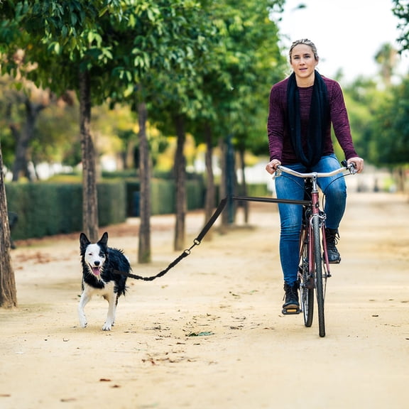 ETHZZLE 1Set Black Dog Harness Bike Leash for Medium Dogs Suitable for Walking Jogging and Traveling