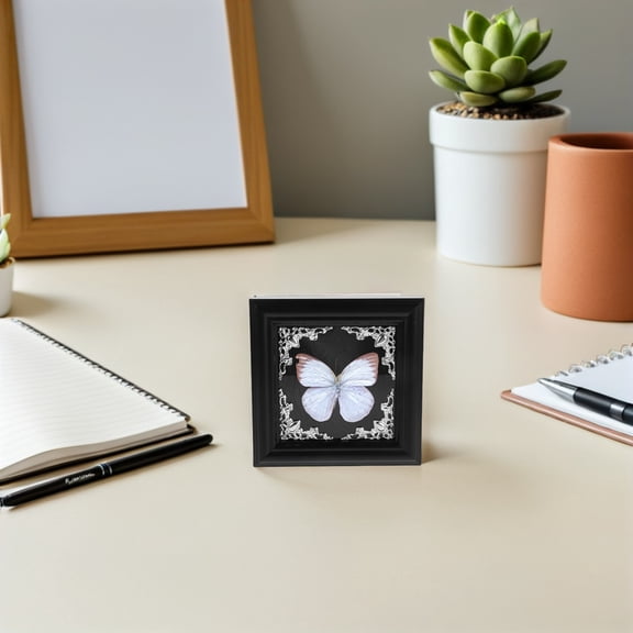 ETHZZLE Insect Display Shadow Box Set with Wooden Frame and Clear Glass Panel for Preserving and Showcasing Insects
