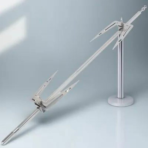 ETHZZLE Set of Plated Stainless Steel Rotating Grill Forks for Barbecue, Roast Chicken, Fish and Outdoor Cooking