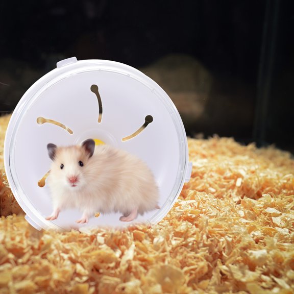 ETHZZLE 1Pc White Plastic Squirrel Exercise Wheel for Small Pets Hamsters and Chinchillas