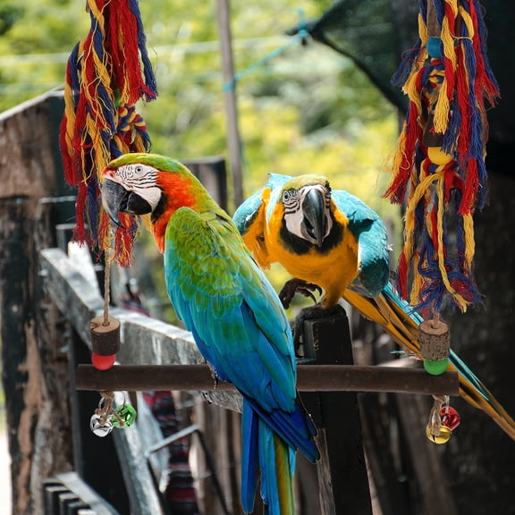 ETHZZLE 1pc Rooster Climbing Toy Pet Cage Hanging Swing Funny Parrot Hanging Toy