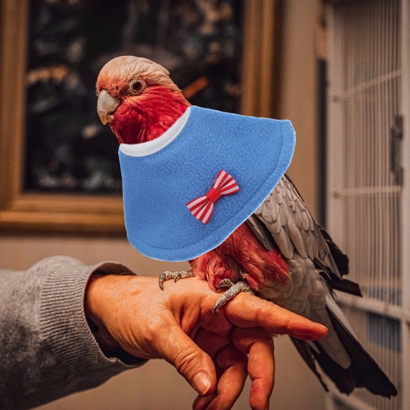 ETHZZLE 2 Pcs Parrot Neck Collar Anti-biting Parrot Collar Pet Bird Protective Supplies