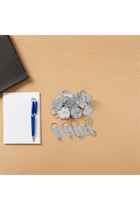 Lightweight Metal Keychain Tags with Clear Numbered ID Labels, 20 Pieces Key for Easy Identification