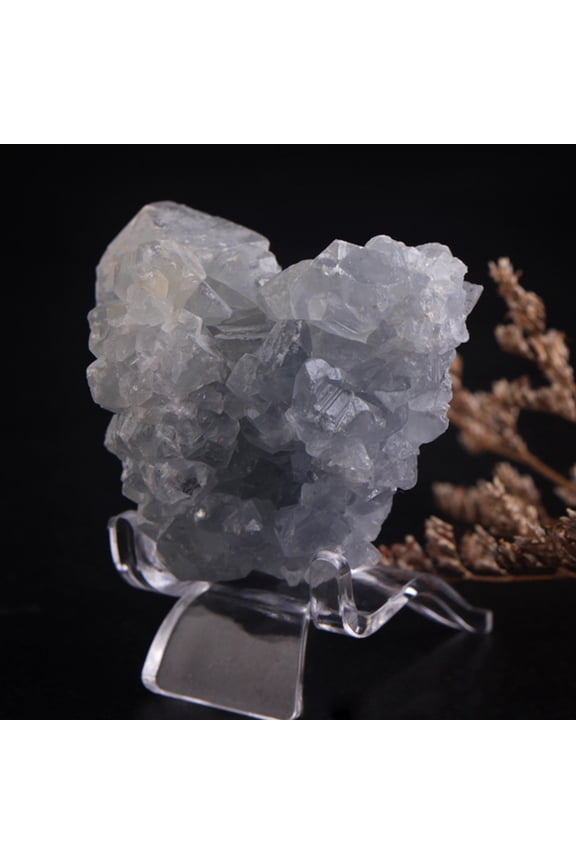 20Pcs Transparent Acrylic Display Stands for Displaying Rocks Agate Slices Coral and Pottery