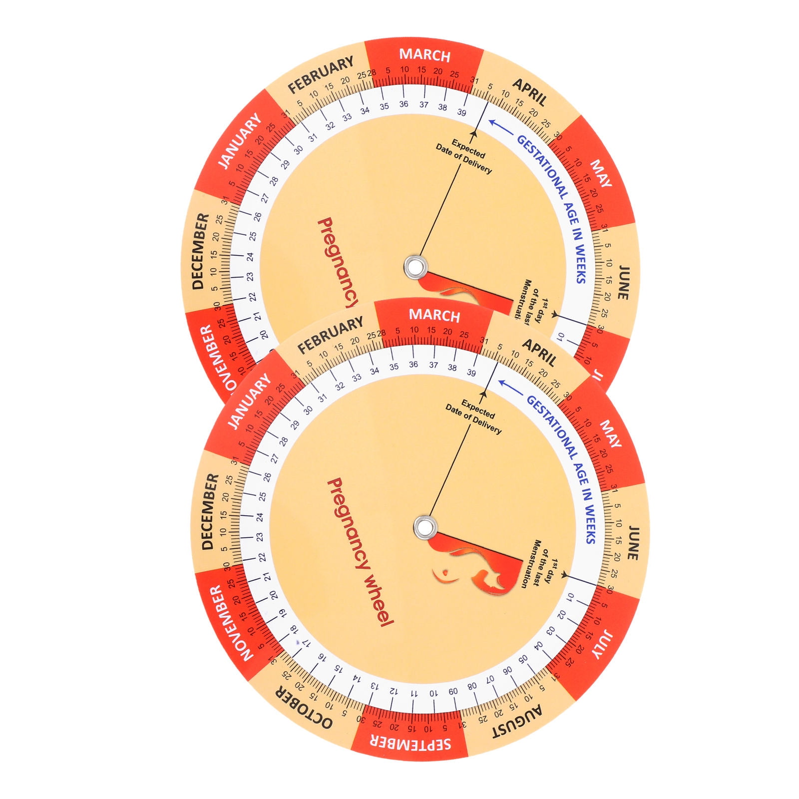 ETHZZLE 2Pcs Pregnancy Date Wheel Calculator with Detailed Multicolor ...