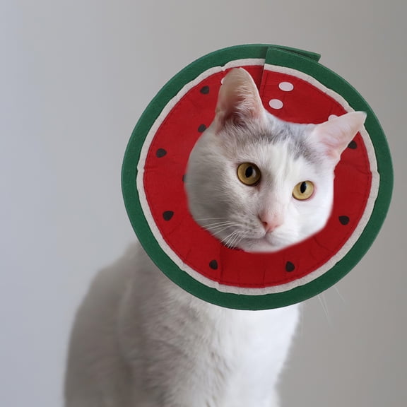 ETHZZLE 3Pcs Lightweight Breathable Elizabethan Collar for Dogs and Cats Post Operative