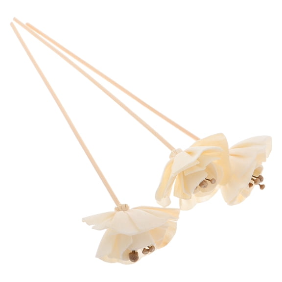 ETHZZLE 3Pcs Natural Dried Flower Reed Diffuser Sticks for Home Fragrance and Decor