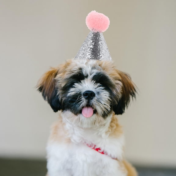 ETHZZLE Dog Themed Party Supplies Fabric Assorted Color 4Pcs