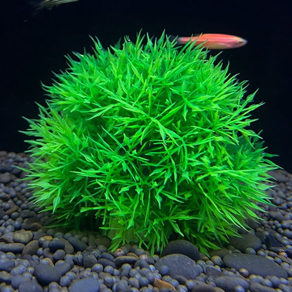 ETHZZLE 4Pcs Green Simulated Water Plants Aquarium Decors Made of Safe PP Material