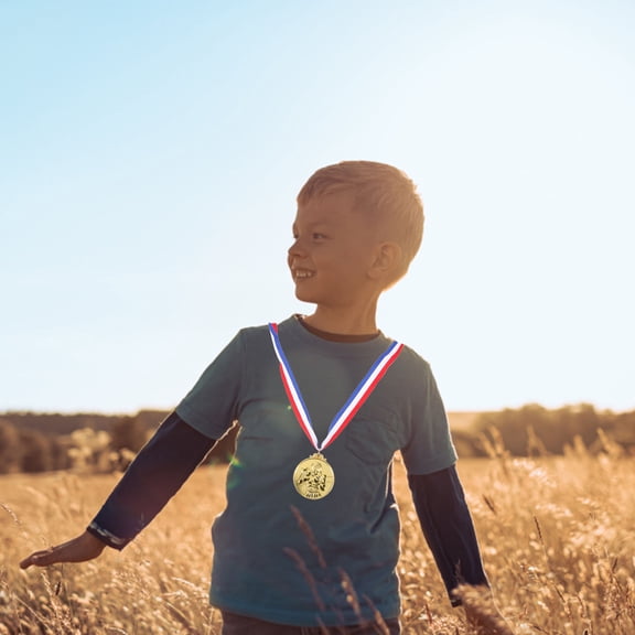 ETHZZLE 4pcs Gold Boxing Medal - Zinc Alloy Sports Award Medals With Ribbon - Metal Competition Prize For Students School Winner Sports Party Supplies Tournament Encouragement