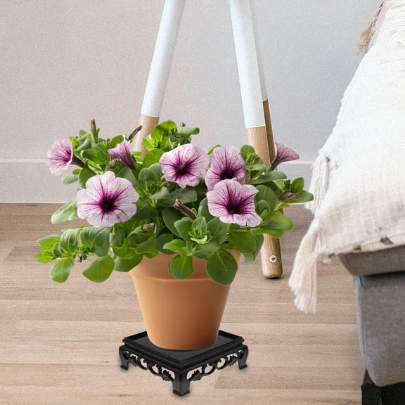 ETHZZLE 5-Pack Black Plastic Plant Risers for Potted Plant Display Stands Vase Holders