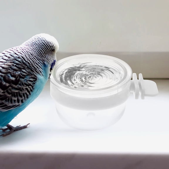 ETHZZLE 5pcs Parrot Water Feeder Feeding Dish Transparent PVC for Birds