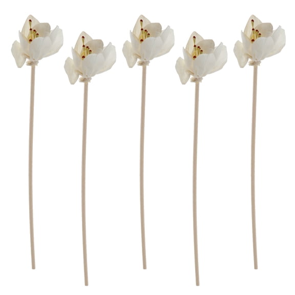 ETHZZLE 5Pcs White Rose Aroma Diffuser Sticks Rattan Reed Sticks for Essential Oils