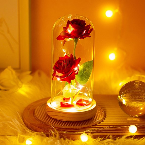 ETHZZLE Fake Rose Dome with Warm White LED ng Light for Romantic Indoor Scene Decor