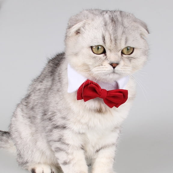 ETHZZLE Cat Tie, White, Adjustable, Red Bowknot, Perfect Fit for Most Cats