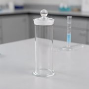 ETHZZLE Decorative Transparent Glass Jar for Science Display Containers and Specimen Preservation