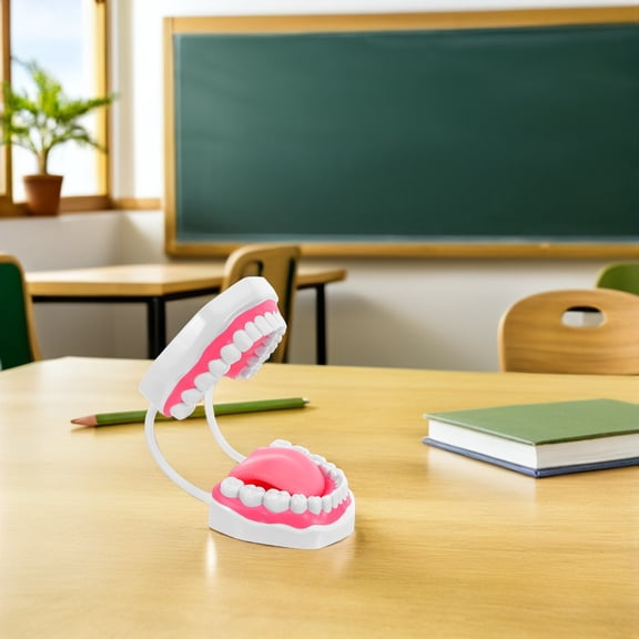 ETHZZLE Dental Mouth Model: 6 Times Teeth Study Clean Prop for Students - Plastic Fake Tooth Educational Training Dental Prop for Classroom Use