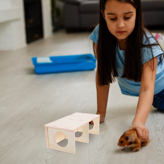 ETHZZLE Wooden Maze House for Small Pets with Design, Private Hideout, and Flexible Placement Options