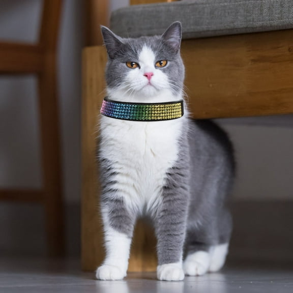 ETHZZLE Stylish Black Kitten Collar with Rhinestone Inlay, 1 Set for Cats, Fashionable Pet Accessory