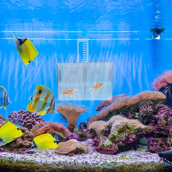 ETHZZLE Fish Tank Hanging Breeding Box Made of Pe Material for Safe Aquarium Fish Isolation