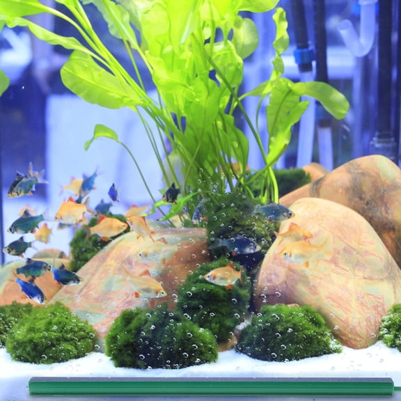 ETHZZLE Green Aquarium Air Bubble Oxygen Diffuser, Fish Stone Pump Accessory for Aquariums, Hydroponic Home Use