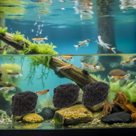 ETHZZLE Freshwater Aquarium Gravel Natural Volcanic Rock for Shrimp Tank and Fish Habitat