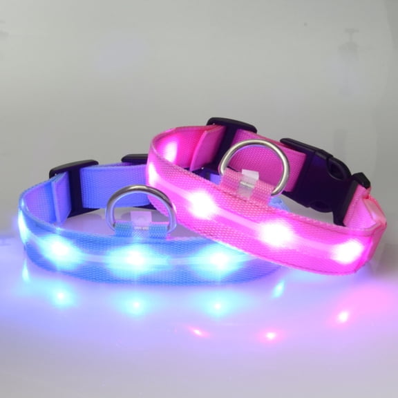 ETHZZLE LED Light Pet Collar in Blue with Flash and Slow Flash Modes for Outdoor Safety
