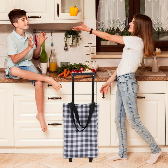 ETHZZLE Lightweight Reusable Rolling Shopping Cart with Extendable Handle and Spacious Utility Bag for Easy Transport
